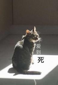 爱到死by玻璃时针简介