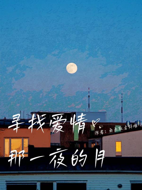 寻找爱情的下落视频
